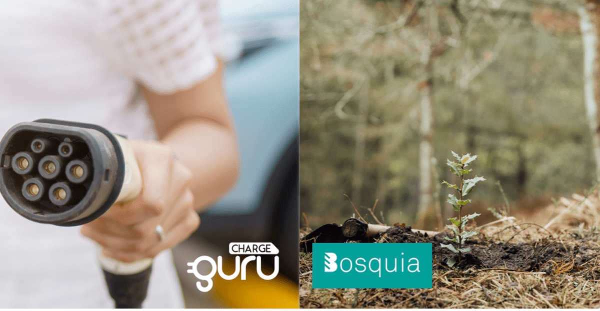 CHARGEGURU BOSQUIA