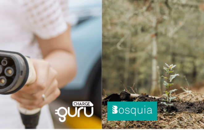 CHARGEGURU BOSQUIA