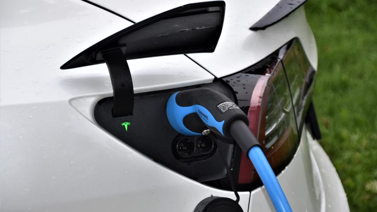 Tesla connectée une borne en train de se charger
